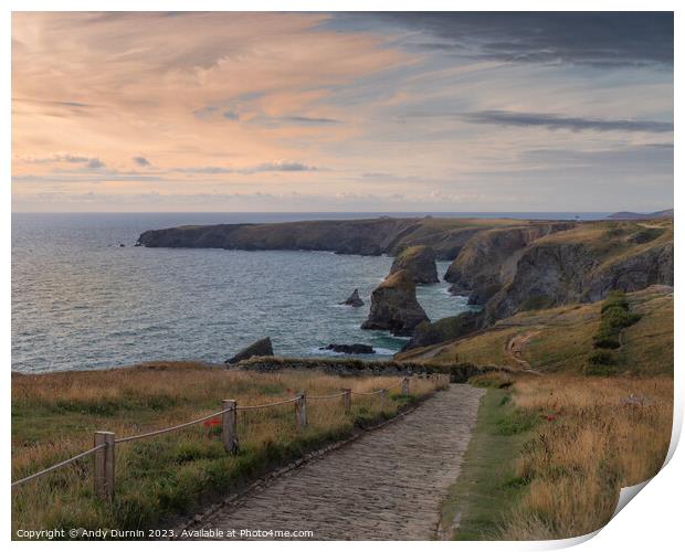 Path to Bedruthan Steps Print by Andy Durnin