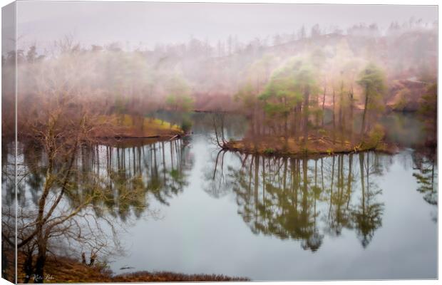 Tarn Hows Reflections Canvas Print by Kate Lake