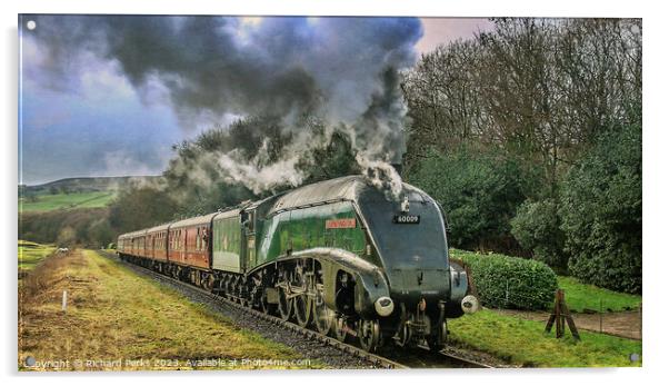 Union Of South Africa Steaming through the Vale Acrylic by Richard Perks