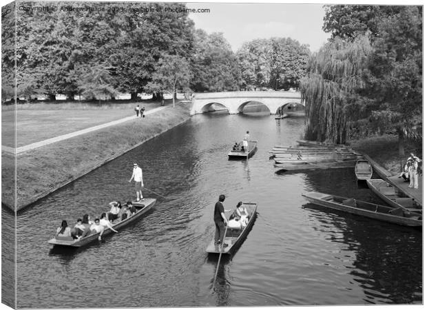 Punting in Cambridge on river on a  summers day  Canvas Print by Andrew Heaps