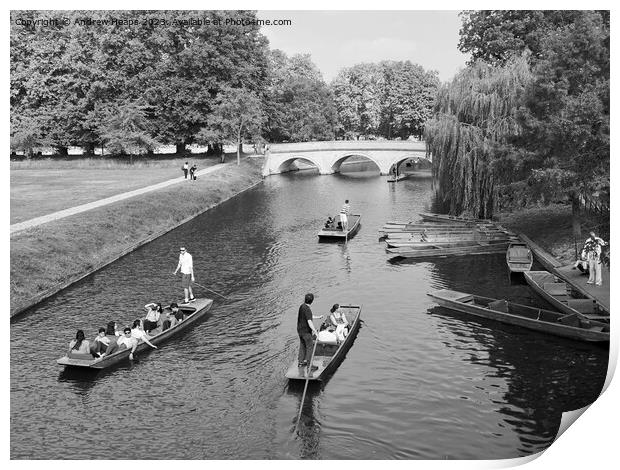 Punting in Cambridge on river on a  summers day  Print by Andrew Heaps