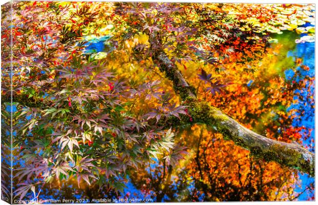 Red Yellow Orange Japanese Maple Trees Reflection Abstract Canvas Print by William Perry
