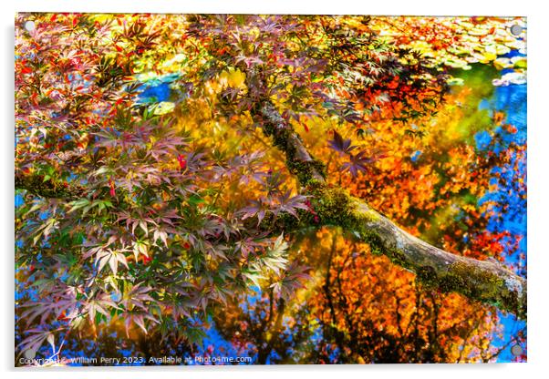 Red Yellow Orange Japanese Maple Trees Reflection Abstract Acrylic by William Perry