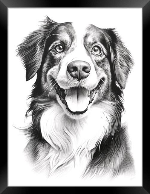 Appenzeller Sennenhund Pencil Drawing Framed Print by K9 Art