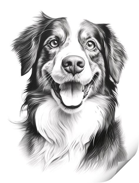 Appenzeller Sennenhund Pencil Drawing Print by K9 Art