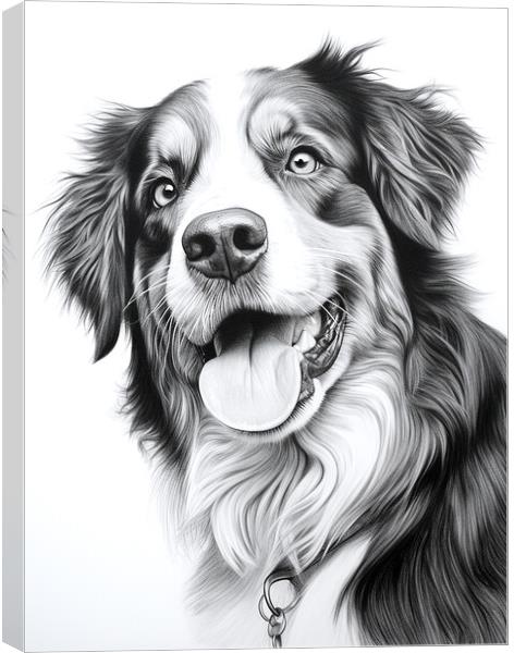 Appenzeller Sennenhund Pencil Drawing Canvas Print by K9 Art