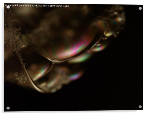bubblicious Acrylic by june fulton