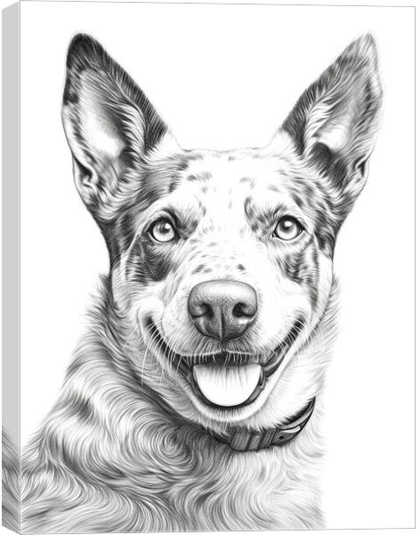 Australian Cattle Dog Pencil Drawing Canvas Print by K9 Art