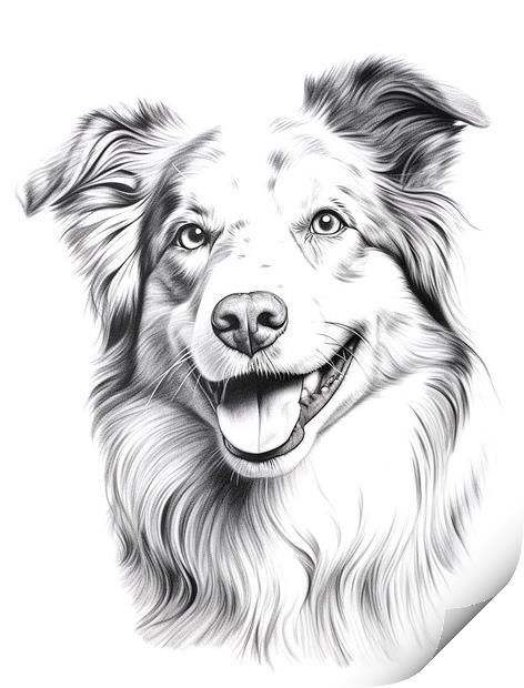 Australian Shepherd Dog Pencil Drawing Print by K9 Art