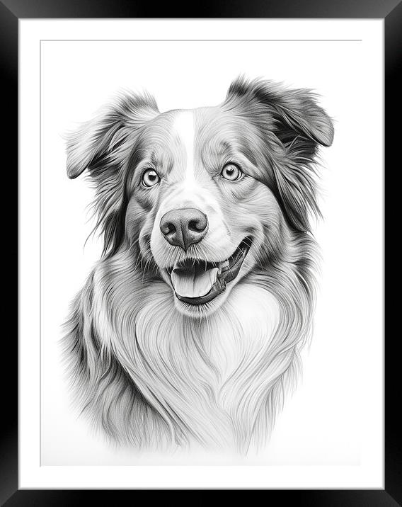 Australian Shepherd Dog Pencil Drawing Framed Mounted Print by K9 Art