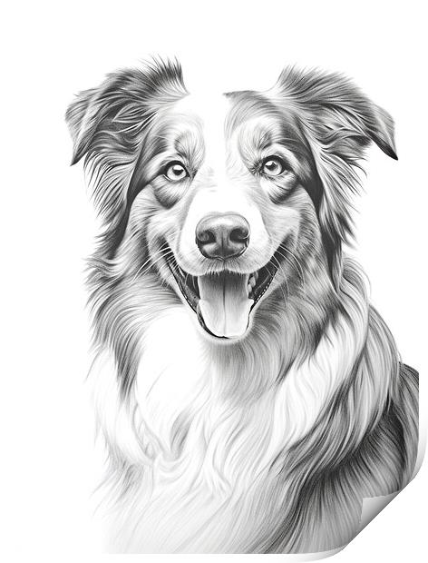 Australian Shepherd Dog Pencil Drawing Print by K9 Art