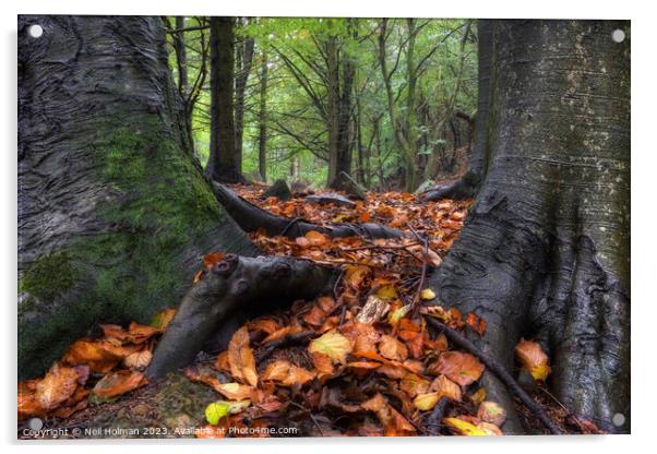 Autumn Colours at 10 Acres Wood, Margam Acrylic by Neil Holman
