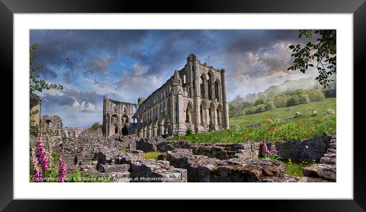The picturesque medieval Rievaulx Abbey ruins, England.  Framed Mounted Print by Paul E Williams