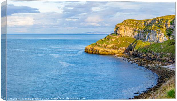 Great Orme's Head Canvas Print by Mike Shields