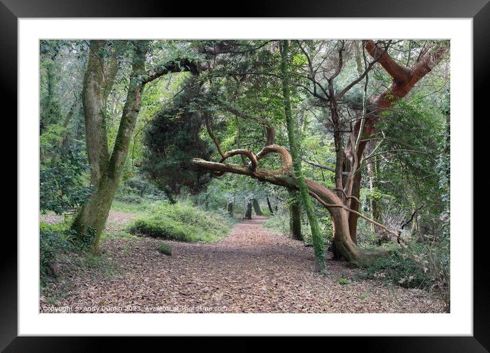 The Bowing Tree Framed Mounted Print by Andy Durnin