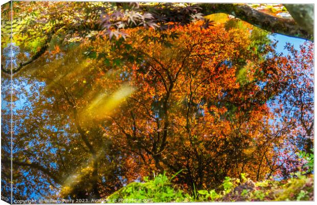Red Orange Japanese Maple Trees Reflection Abstract Van Dusen Ga Canvas Print by William Perry