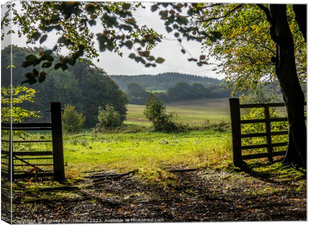 View of countryside Canvas Print by Rodney Hutchinson