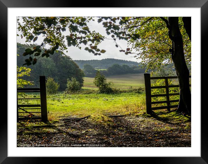 View of countryside Framed Mounted Print by Rodney Hutchinson