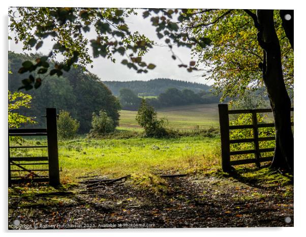 View of countryside Acrylic by Rodney Hutchinson