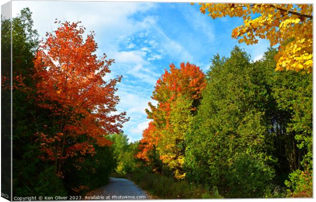 Vibrant Autumn Color Canvas Print by Ken Oliver
