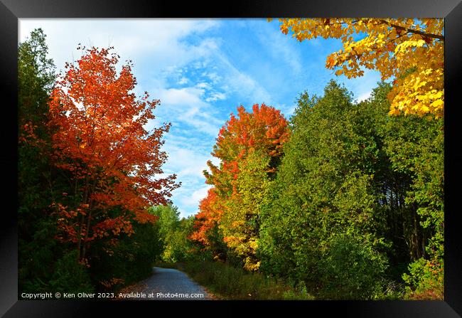 Vibrant Autumn Color Framed Print by Ken Oliver