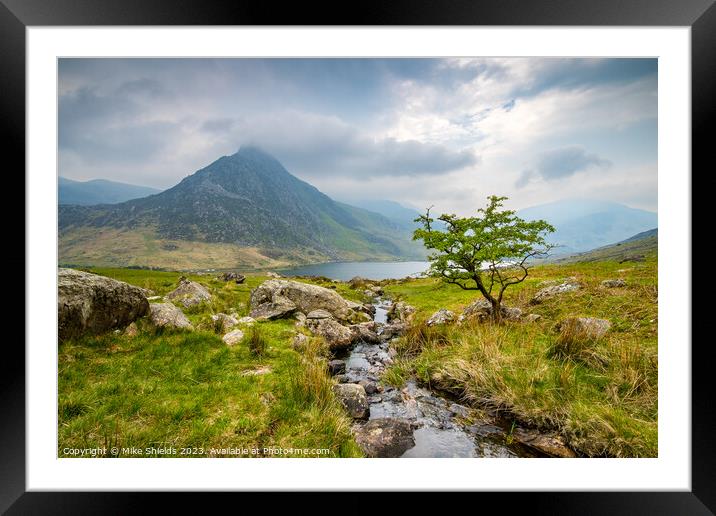 Lone Tree and Tryfan Framed Mounted Print by Mike Shields