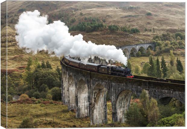The Jacobite passing through Glenfinnan  Canvas Print by Anthony McGeever