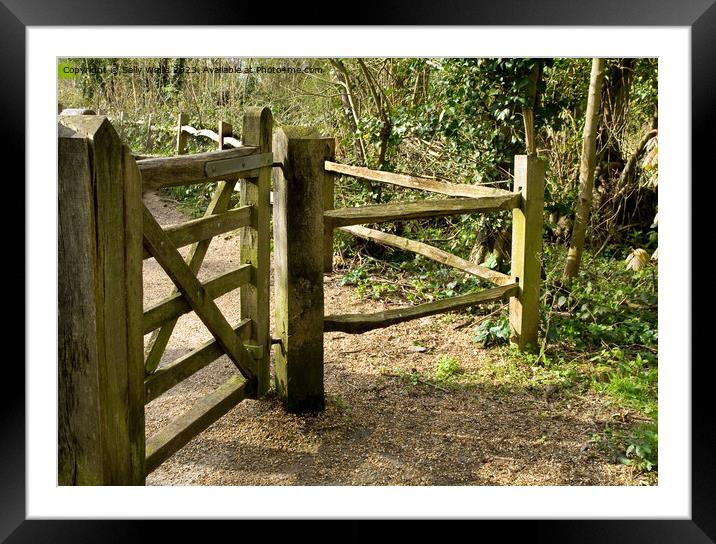 Wooden gate Framed Mounted Print by Sally Wallis