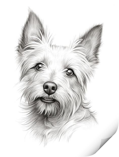 Australian Terrier Pencil Drawing Print by K9 Art