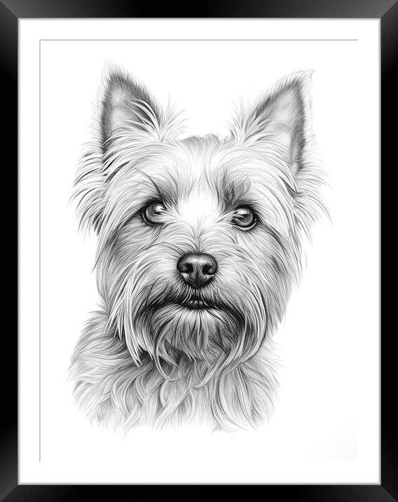 Australian Terrier Pencil Drawing Framed Mounted Print by K9 Art