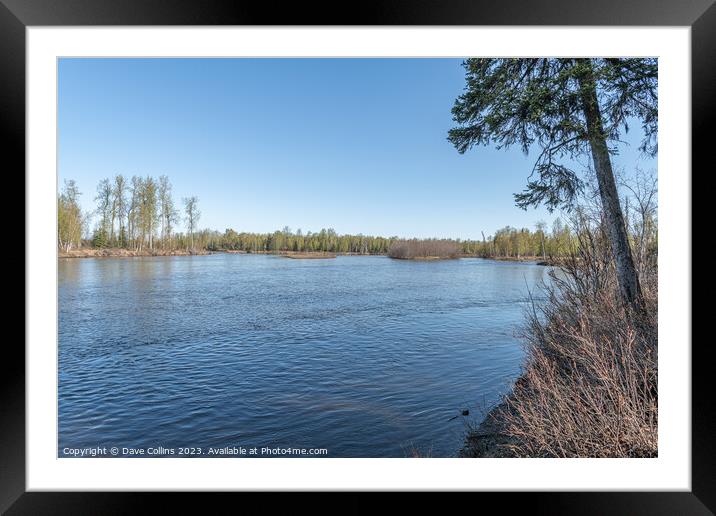 Looking north on the Susitna River from Willow Creek, Alaska, USA Framed Mounted Print by Dave Collins