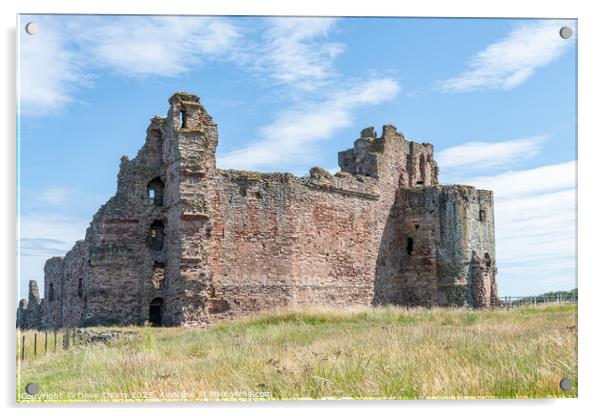 The remains of the north and west walls of Tantallon Castle, North Berwick, East Lothian, Scotland Acrylic by Dave Collins