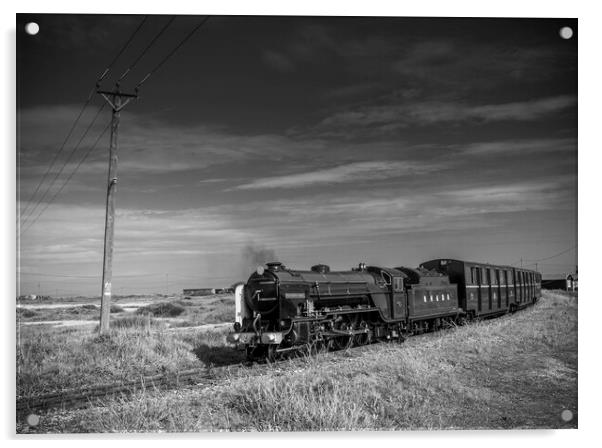 Romney, Hythe and Dymchurch Railway Acrylic by Philip Enticknap