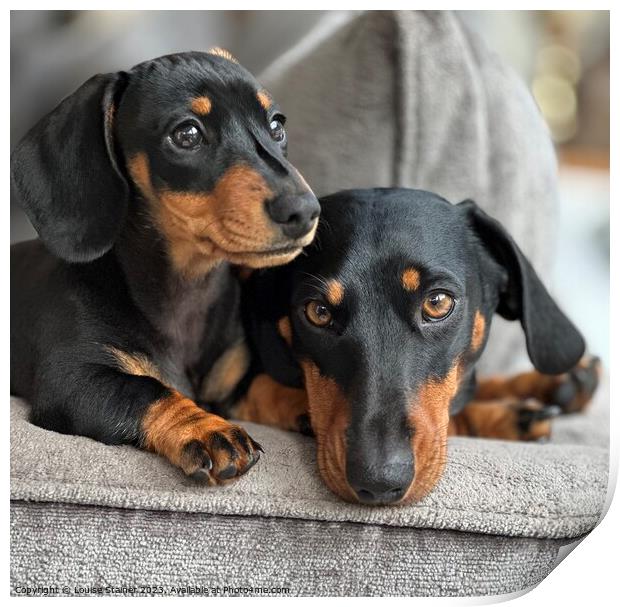 Dachshund family  Print by Louise Stainer