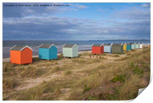 Findhorn Beach Huts Print by Peter Stuart