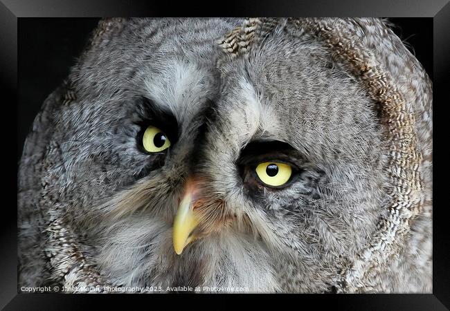 Great Grey Owl Framed Print by Janet Marsh  Photography
