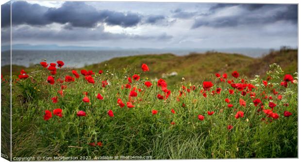 Field of Poppies at Burghead Canvas Print by Tom McPherson