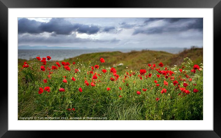 Field of Poppies at Burghead Framed Mounted Print by Tom McPherson