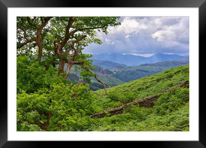 Lake District Views. Framed Mounted Print by Jason Connolly
