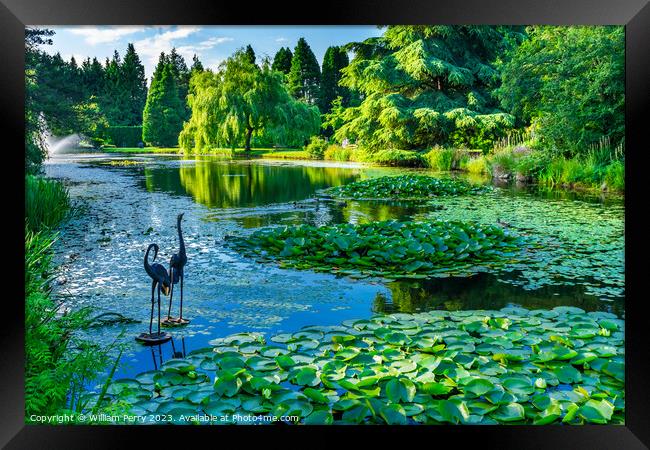 Bird Statues Lily Pads Van Dusen Garden Vancouver British Columb Framed Print by William Perry