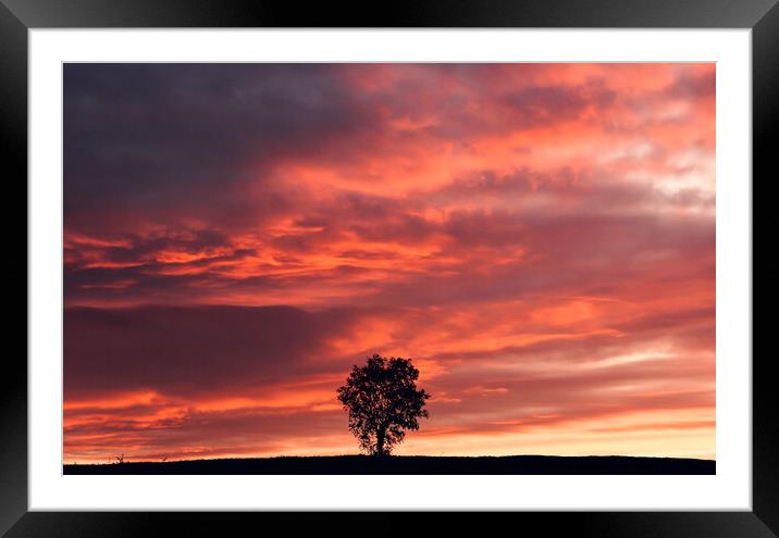 Sky cloud Framed Mounted Print by Simon Johnson