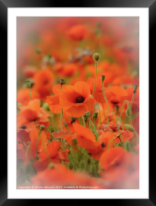 Poppy flower soft focus Framed Mounted Print by Simon Johnson