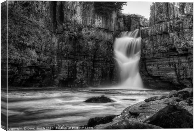 High Force Falls Canvas Print by David Smith