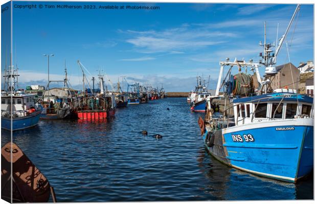 Seals at Burghead Harbour Canvas Print by Tom McPherson