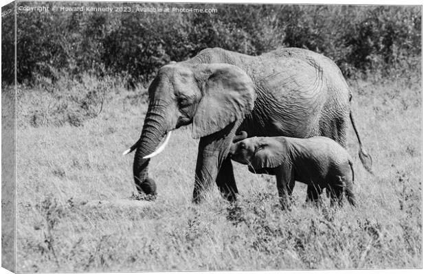 Elephant mother nursing her suckling infant in black and white Canvas Print by Howard Kennedy