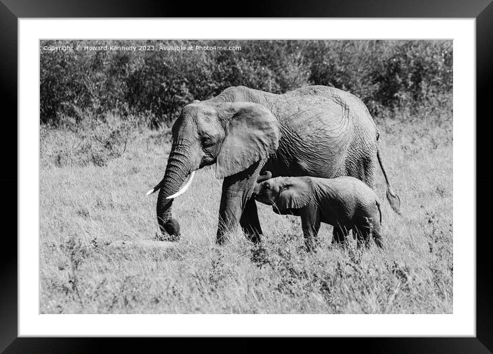 Elephant mother nursing her suckling infant in black and white Framed Mounted Print by Howard Kennedy