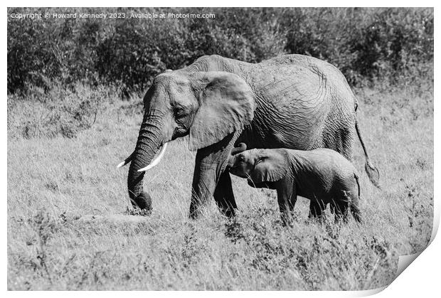 Elephant mother nursing her suckling infant in black and white Print by Howard Kennedy