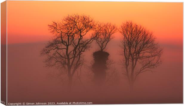 Trees in mist Canvas Print by Simon Johnson