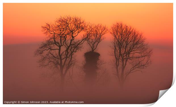 Trees in mist Print by Simon Johnson