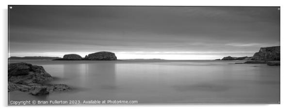 Sheep Island  Acrylic by Brian Fullerton